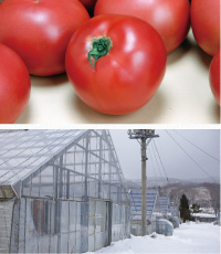 多彩な農産物と地熱利用