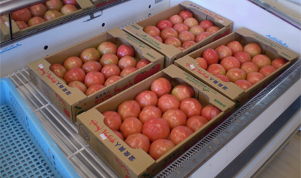 オロフレトマト