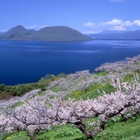 春の観光シーズン到来！