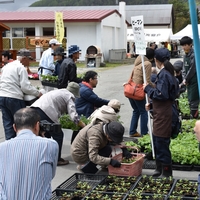 壮瞥高校朝市が開催されました