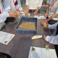 壮瞥高等学校中学生１日体験が行われました。