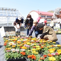 壮瞥高校朝市が開催されました