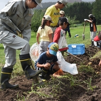 じゃがいも交流事業