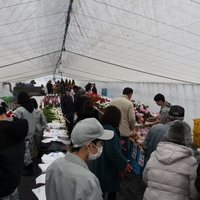 壮瞥高校りんごシクラメン販売会