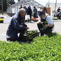 壮瞥高校で朝市が開催されました