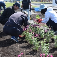 役場前花壇の花植え
