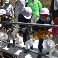 壮瞥川ヤマベ放流