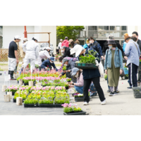 第45回壮瞥高校朝市