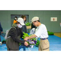 「第46回 壮瞥高校朝市」が開催されました