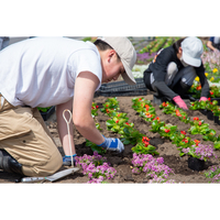 北海道壮瞥高等学校の生徒による花壇造成が行われました