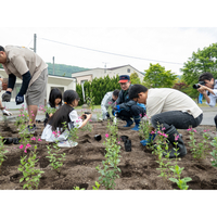 役場前花壇に花を植えました