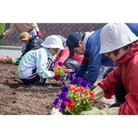 建部自治会による環境美化活動・花壇造成が行われました