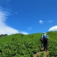 第78回町民歩けあるけ運動（紋別岳登山）が開催されました