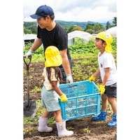 園児と高校生によるジャガイモ収穫交流