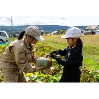 アグリレッスン「カボチャの収穫」が行われました