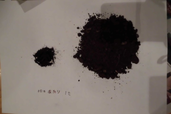 CIMG0561 (Small).JPG