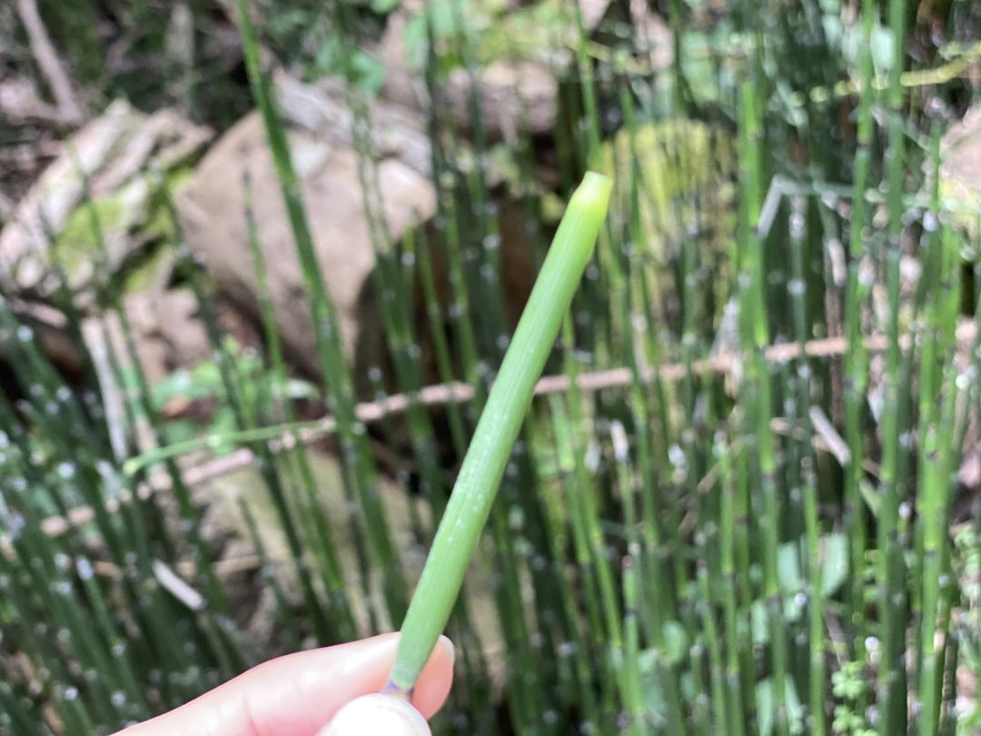 20200911_shimizu_blog8.jpegのサムネイル画像