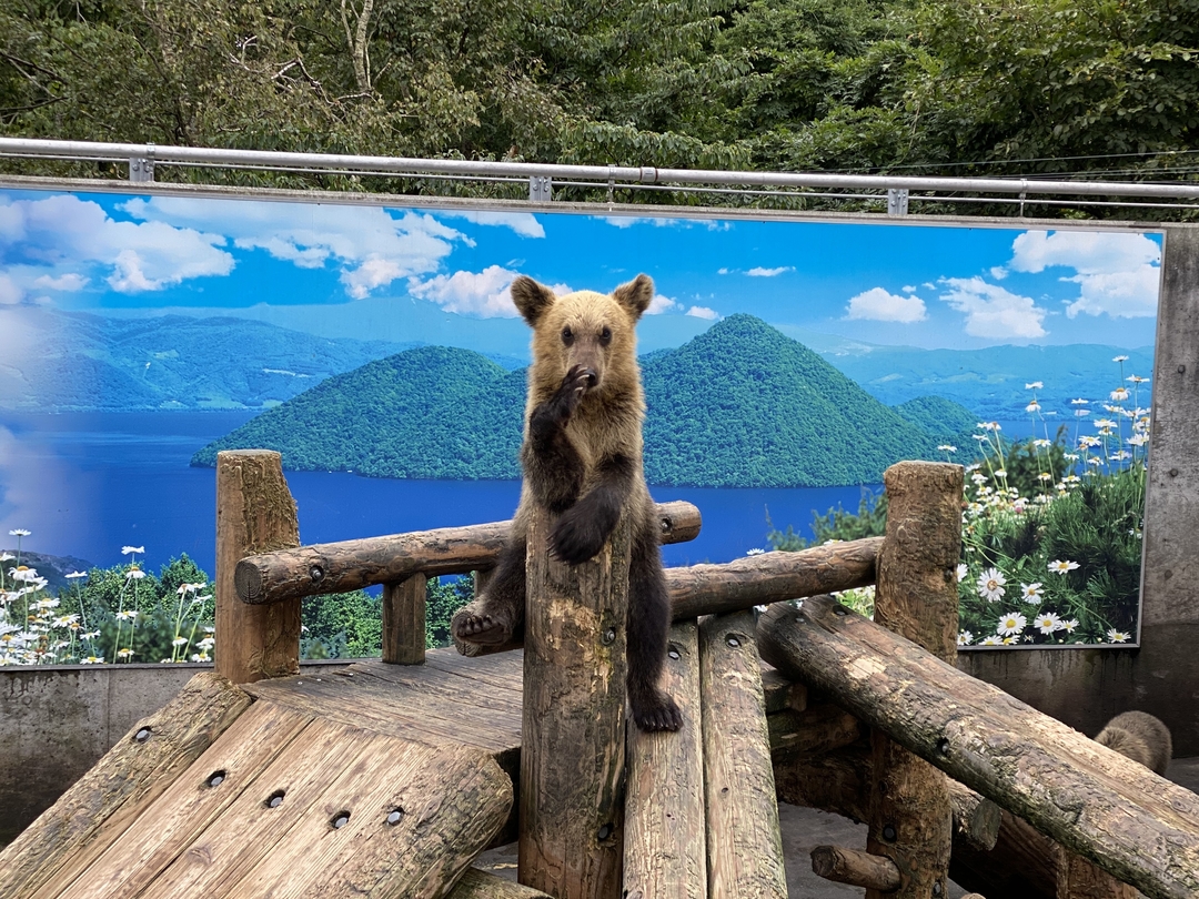 20200924_shimizu_blog11