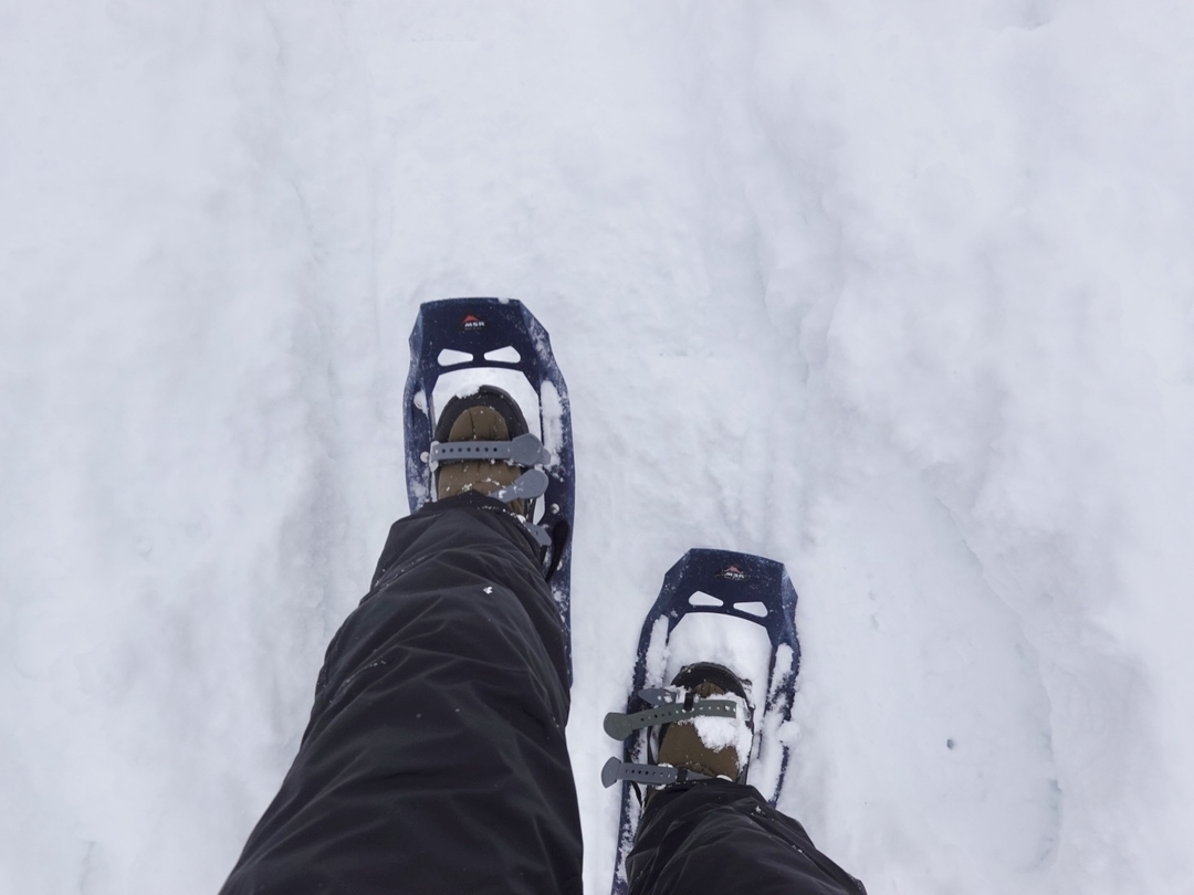 20210218_sm_snowshoes13.JPG