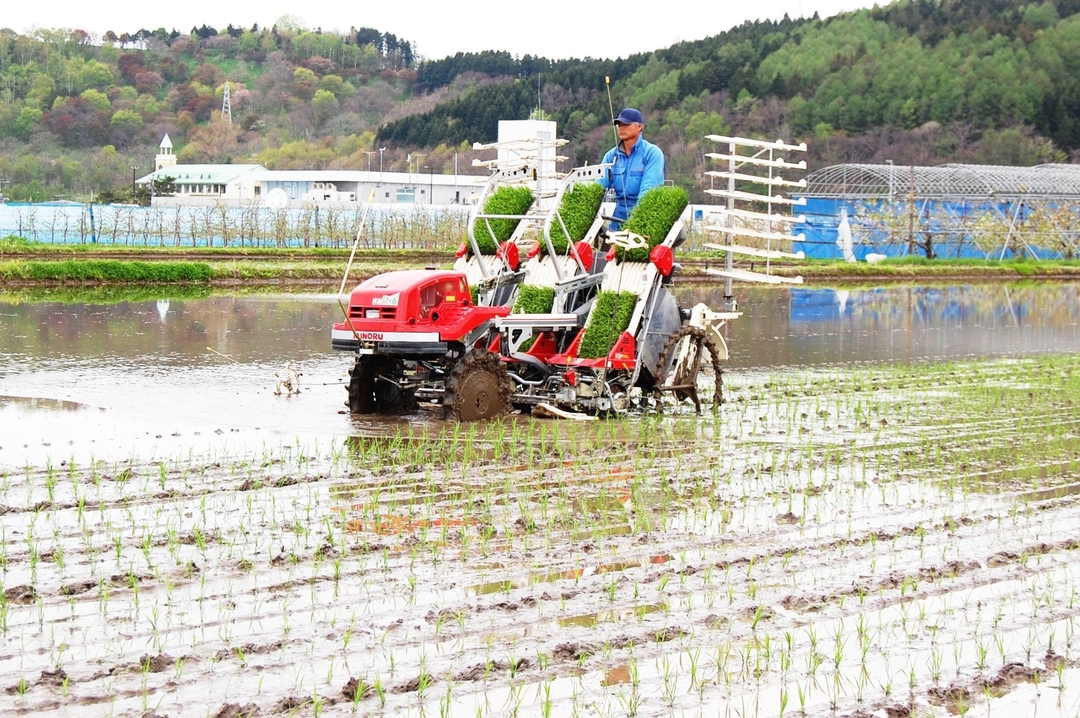 20210301_Sobetsu_Kome_ (16).JPG