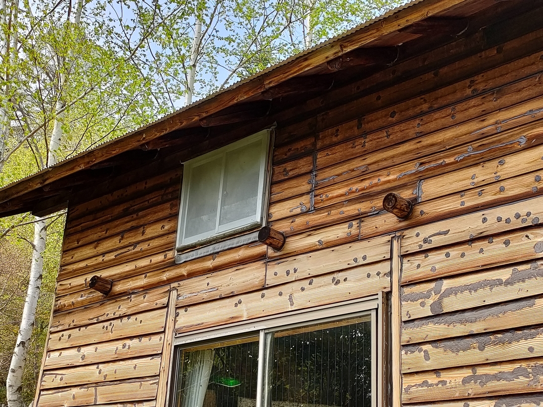 akiya10 my rebi5.jpg