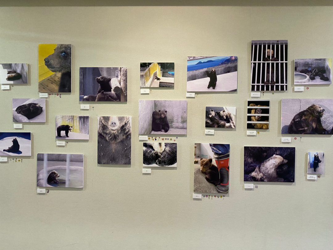 20221123_sm_syasinten2.pngのサムネイル画像