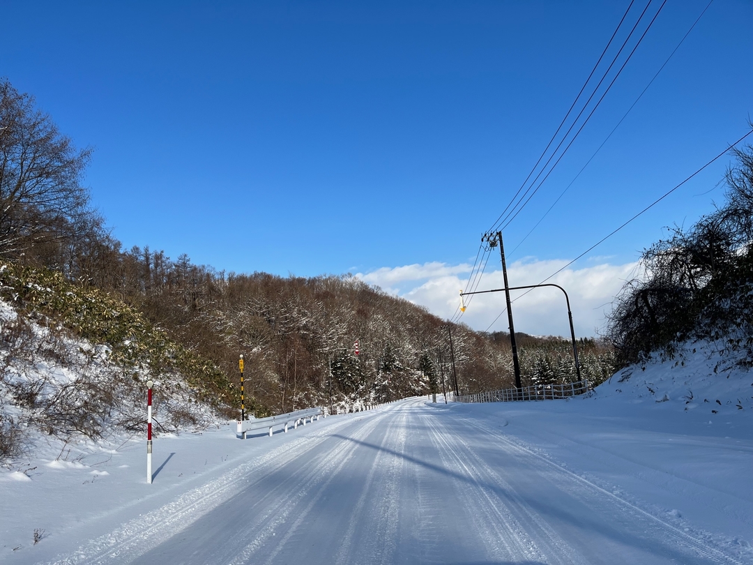 202302 my drive4.jpg