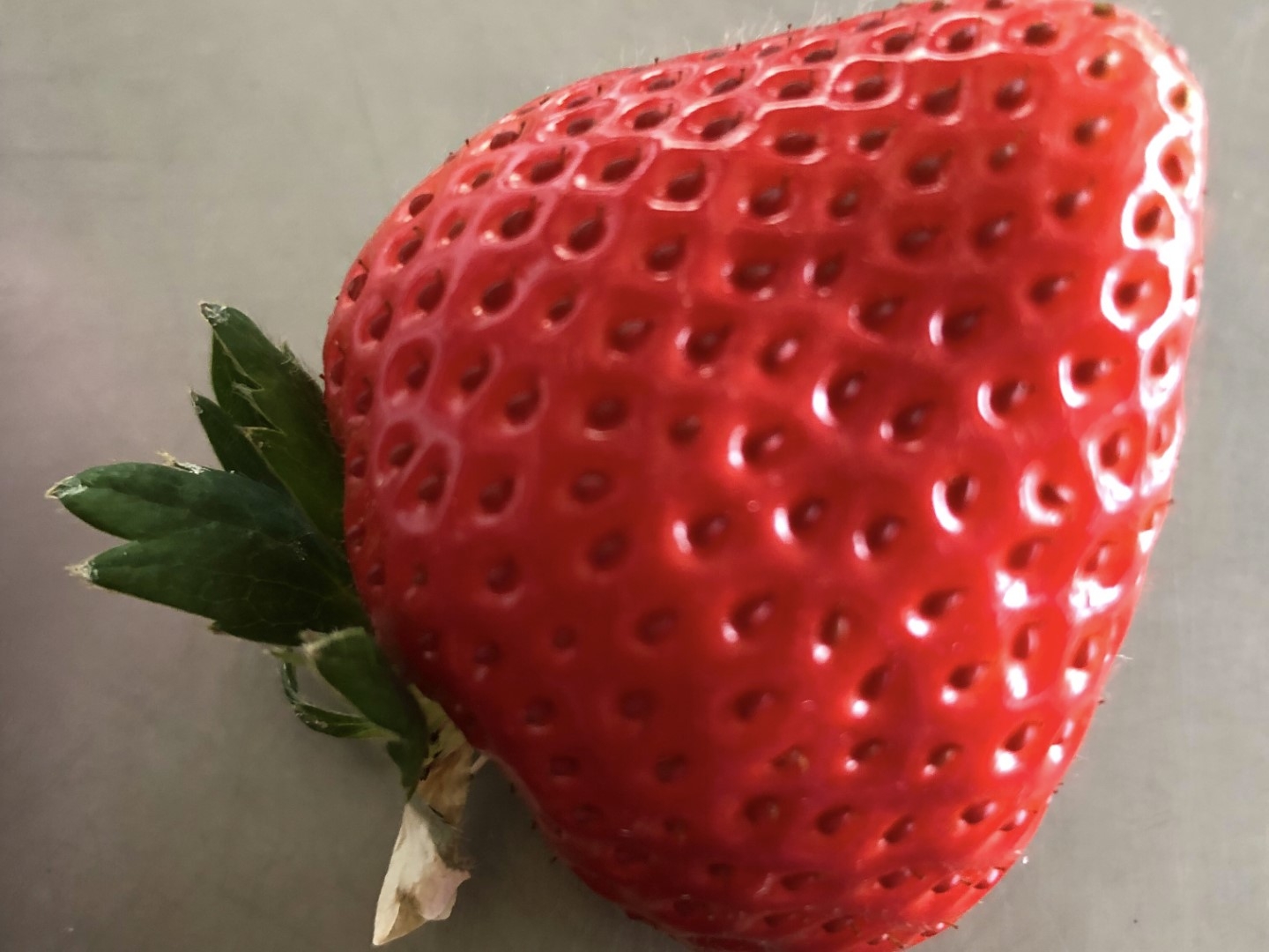 20130801_sy_c1 (L).jpg