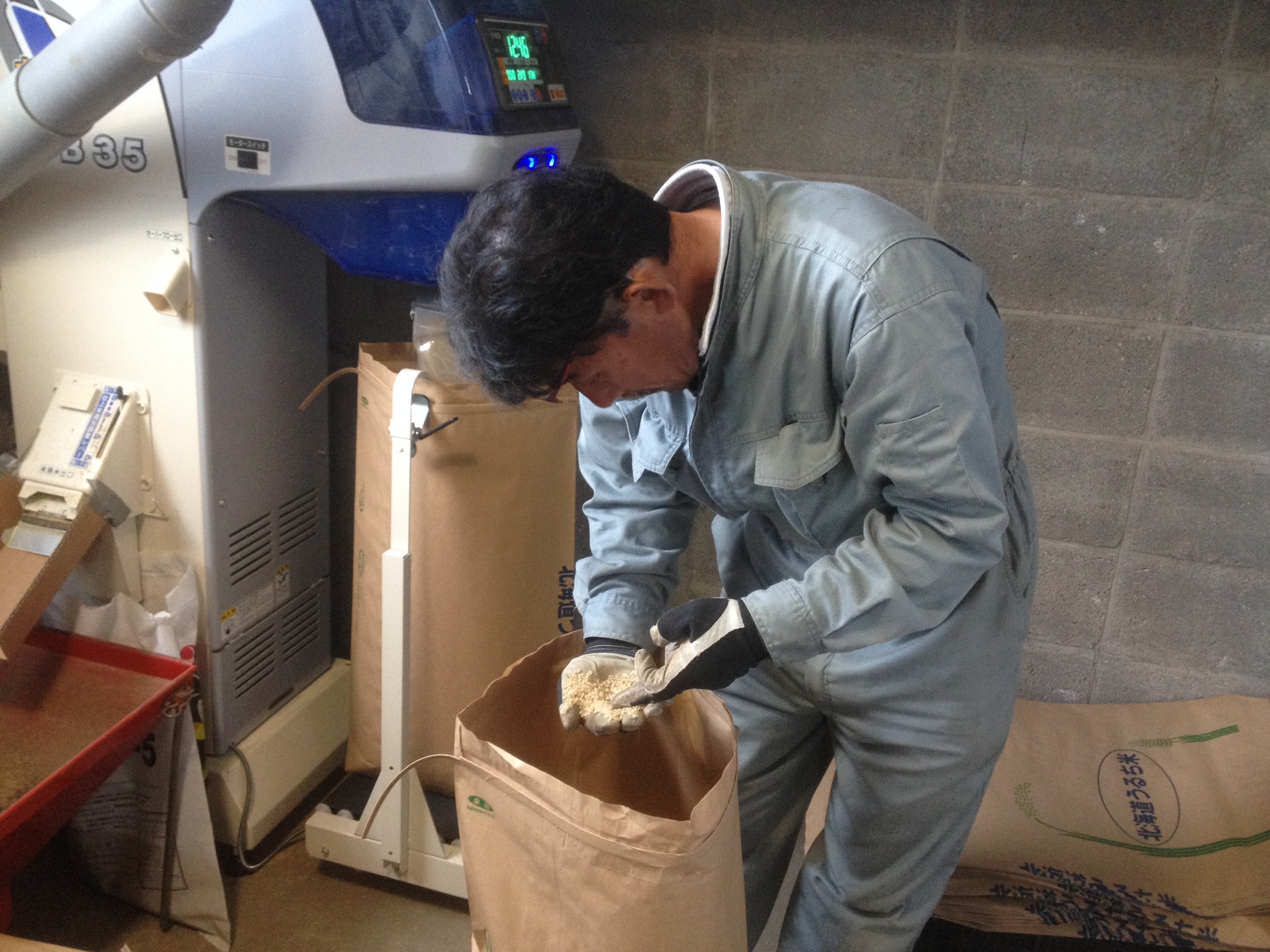 壮瞥町地域おこし協力隊　農業研修　お米の確認をする岩倉さん