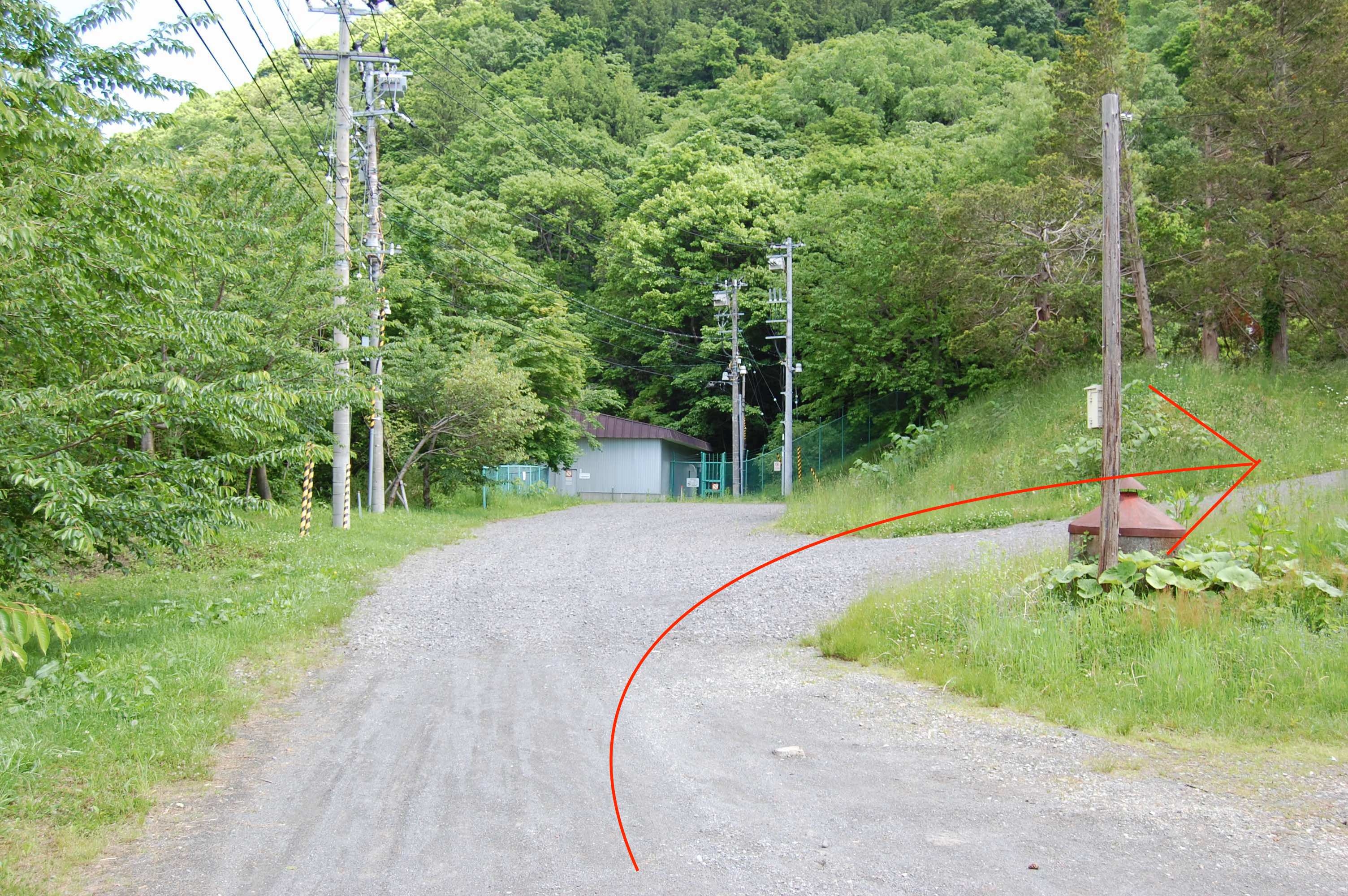 2017.6.22.footpath.6.jpg