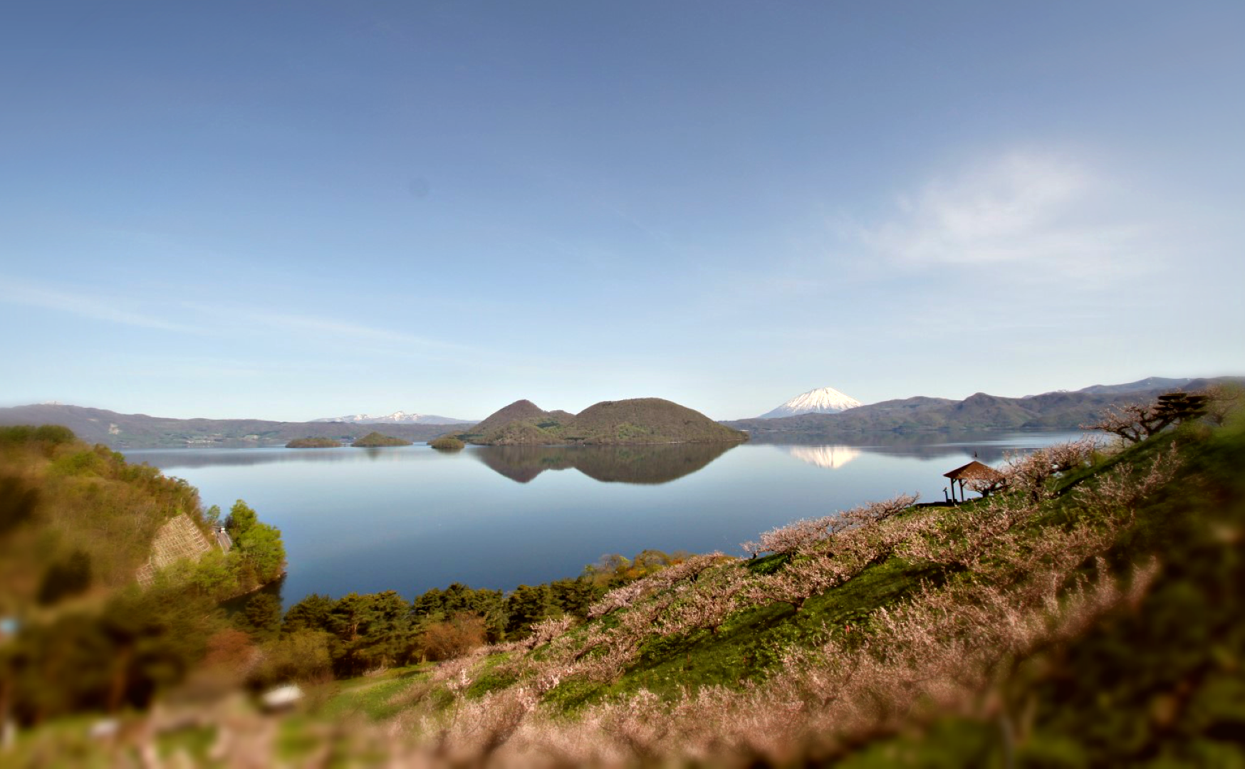 20191028_SobetsuKoen_Ume (2).png