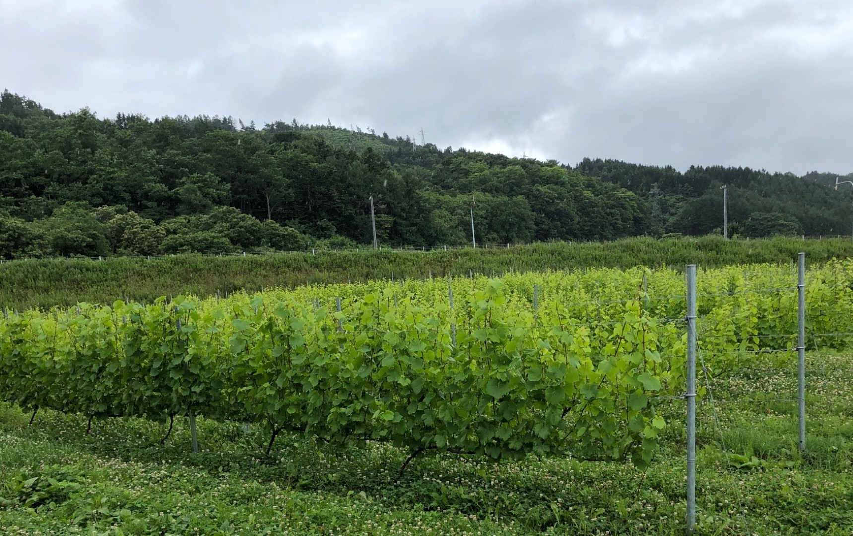 20201005_sy_farm (Large).jpeg