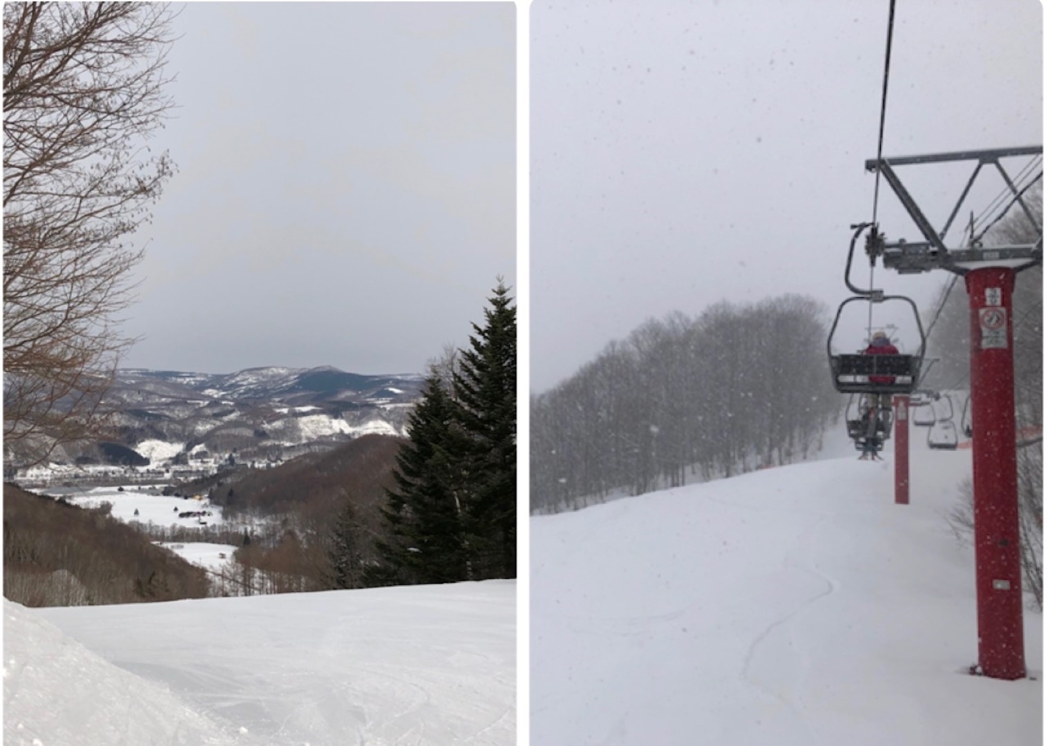 2021.02.26.orofure2 (Large).jpeg