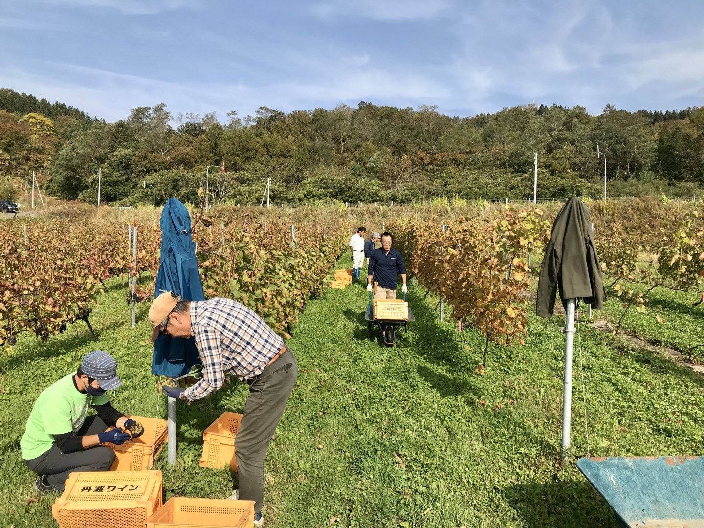 20221026_ks_wine2.jpg