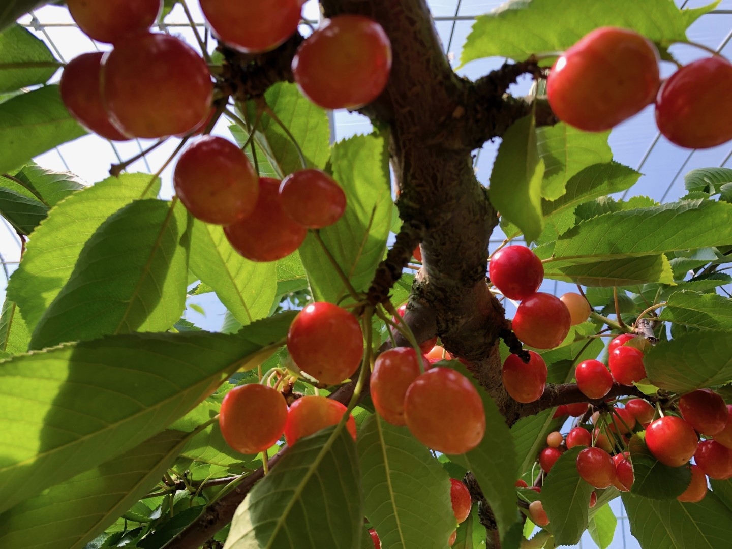 20230801_sy_c2 (L).jpeg