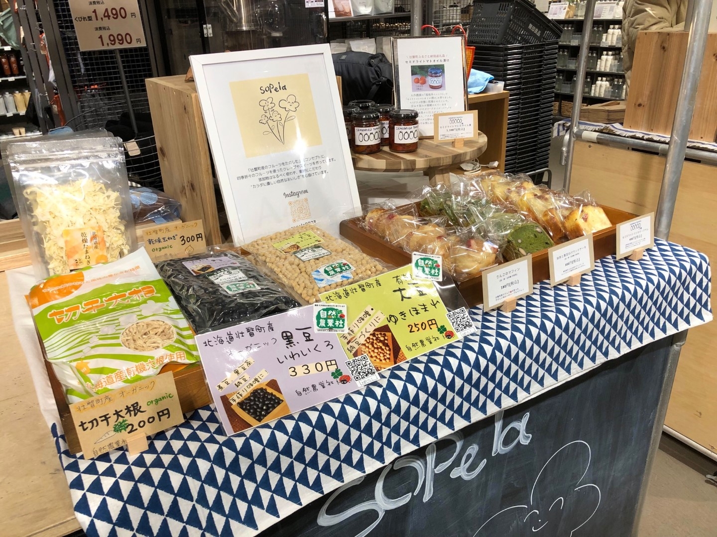 20231128_sy_e4 (Large).jpg