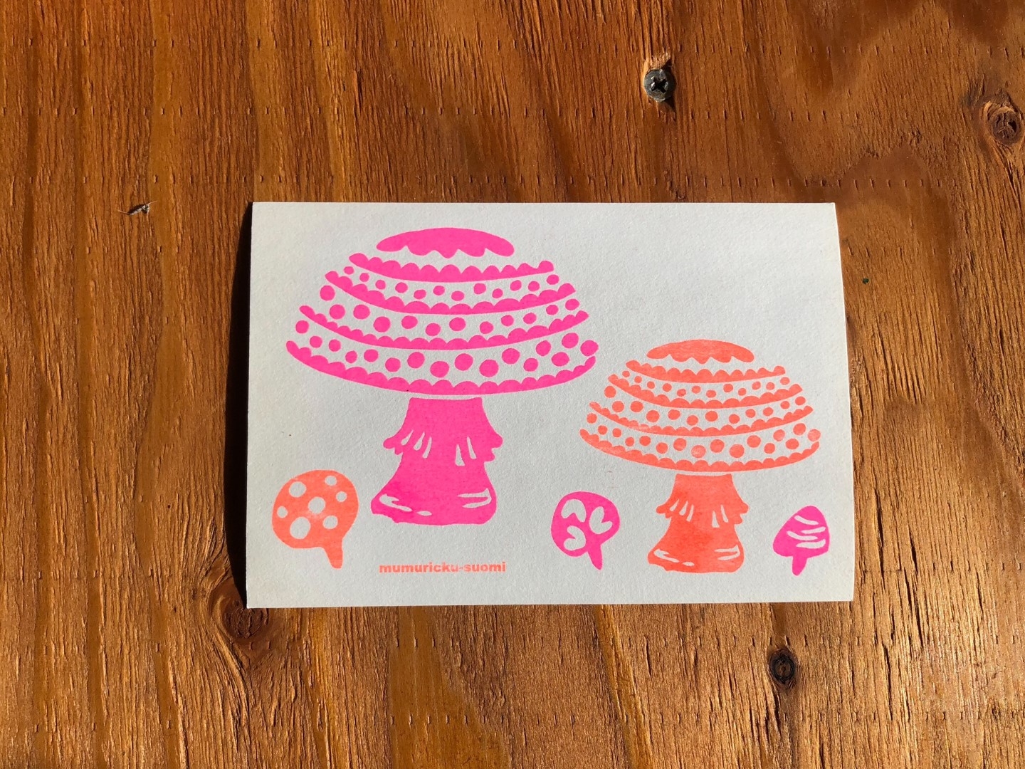 20231128_sy_e5 (Large).JPEG