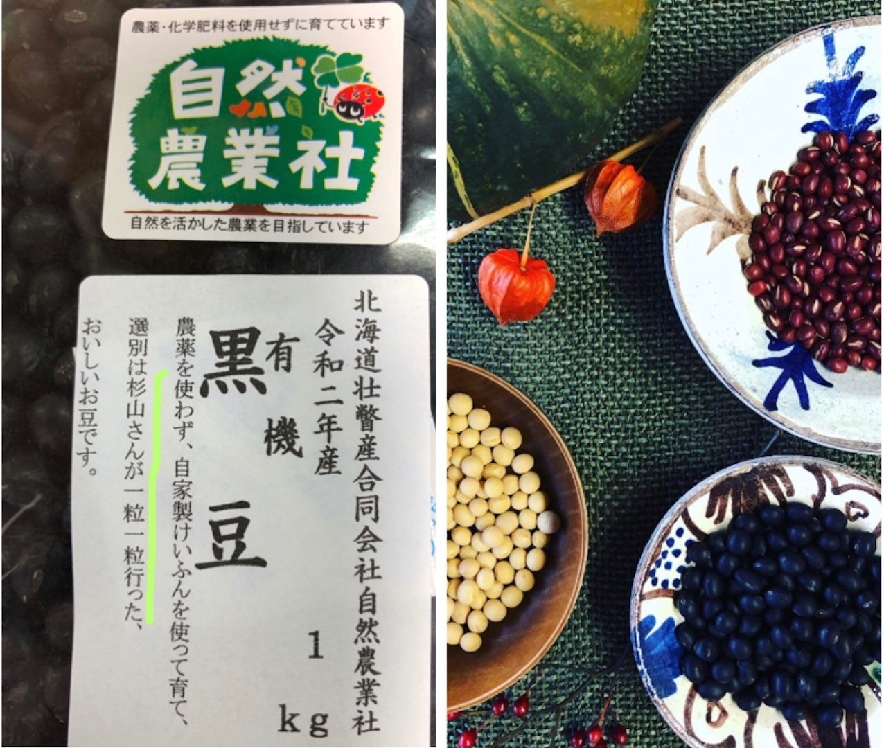 beans_20201124_2 (Large).jpeg