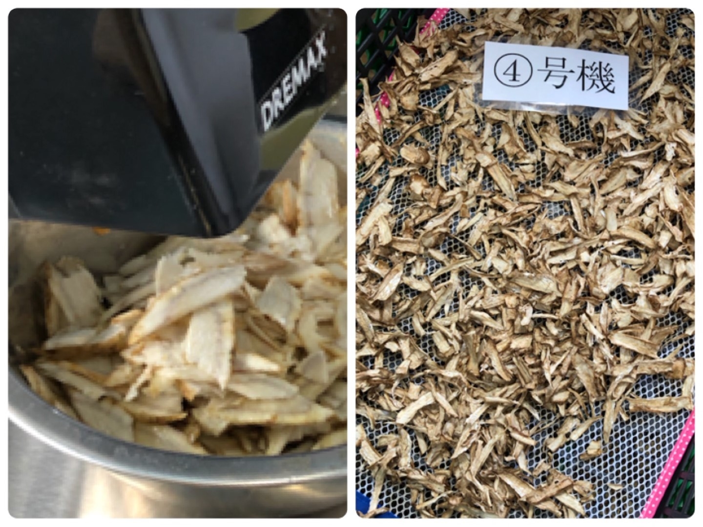 burdock2 (Large).jpeg