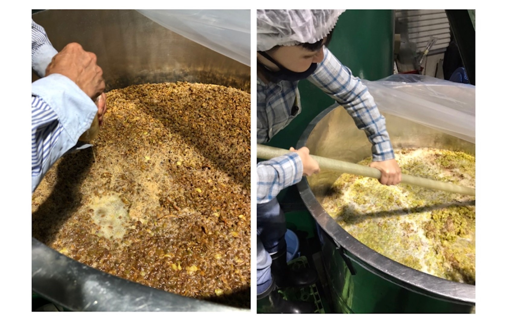 grape2_20201105 (Large).jpeg