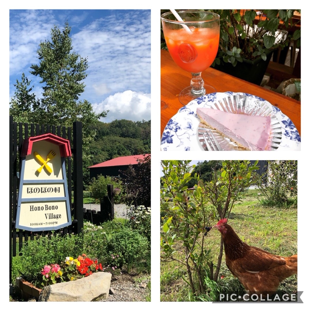 honobono_20200910 (Large).jpeg