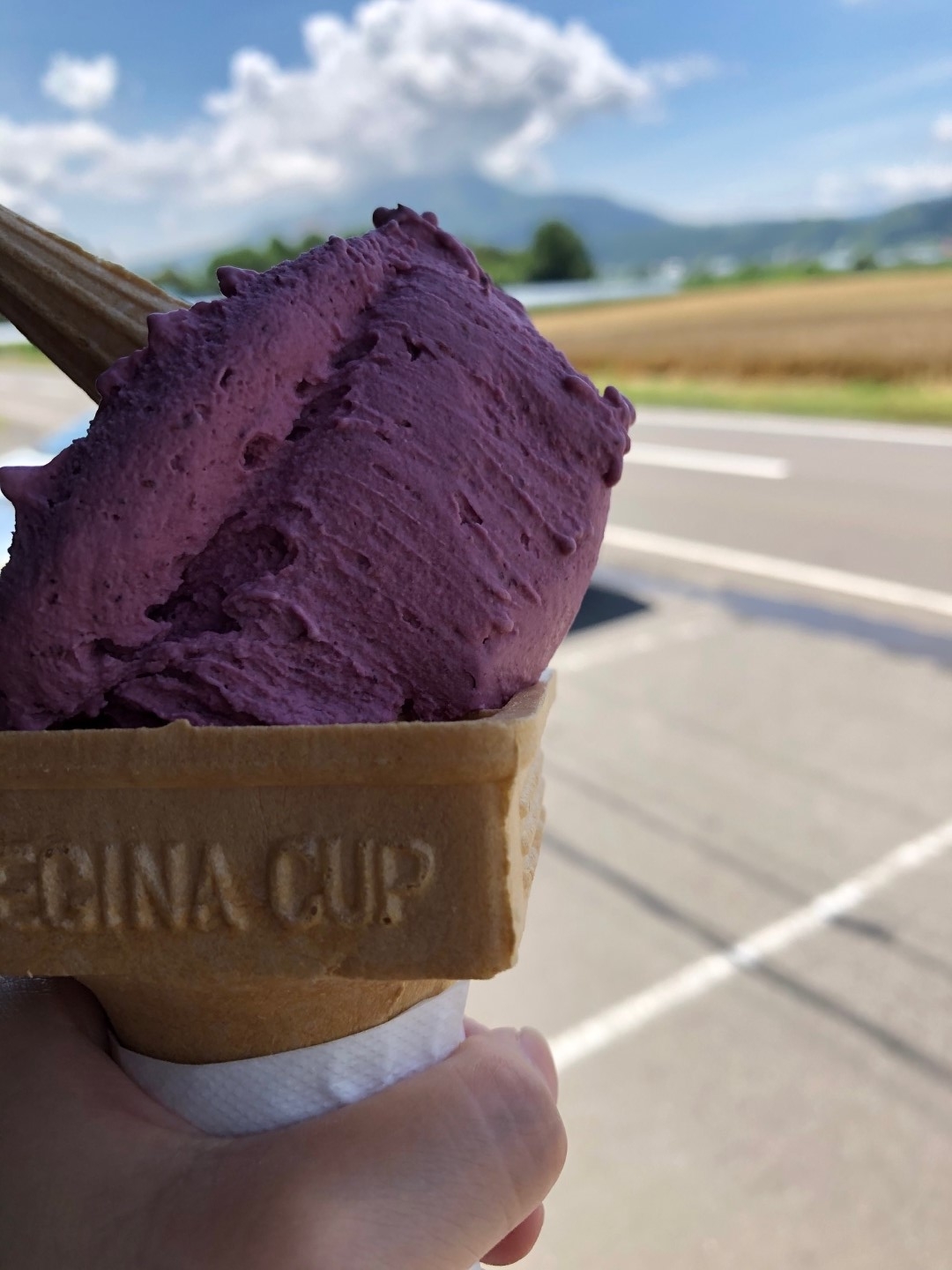 ice_20200828 (Large).jpeg