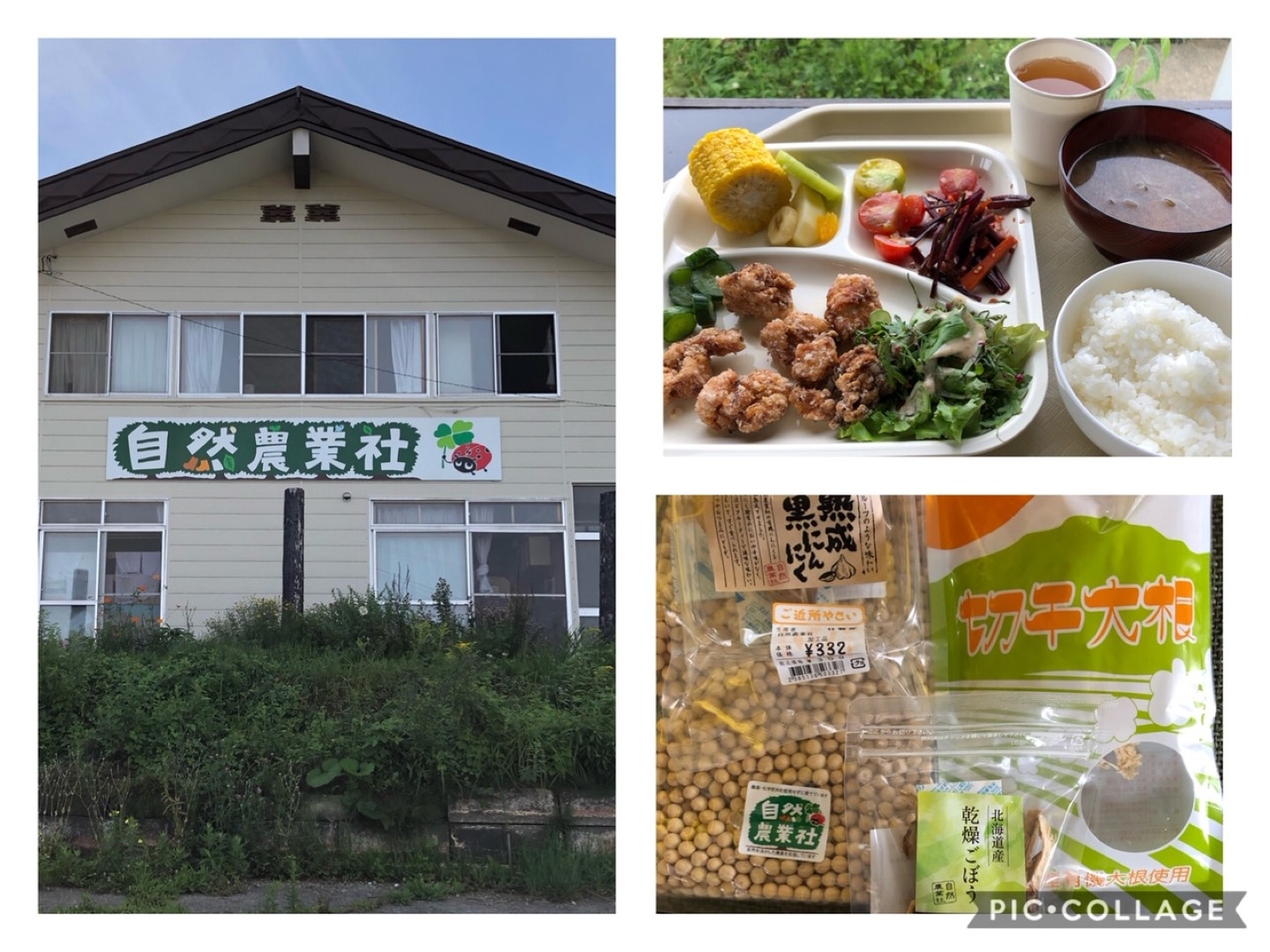 shizen_20200910 (Large).jpeg