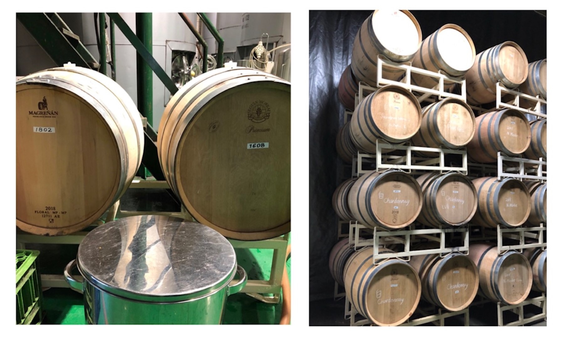 wine_20201105 (Large).jpeg