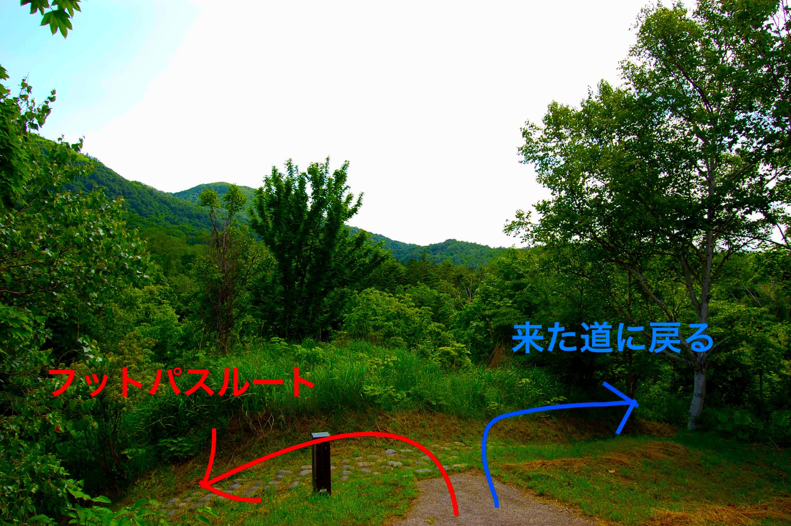 yosomiyama.foot.path.17.jpg
