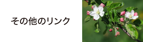その他リンク