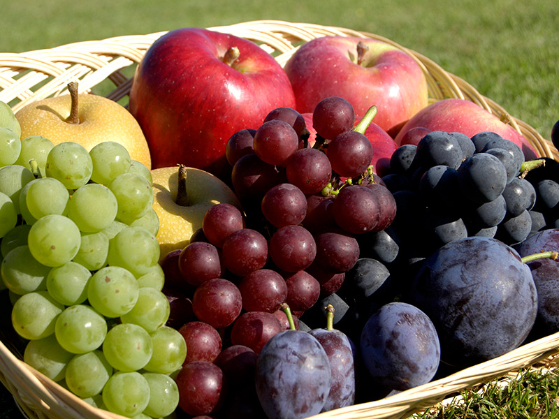 伝統栽培から始まる壮瞥のフルーツ物語