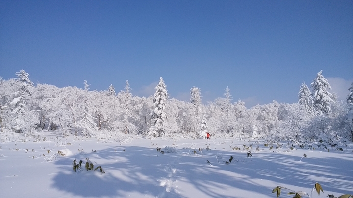 20171211_14.orofurejuhyou.jpgのサムネイル画像