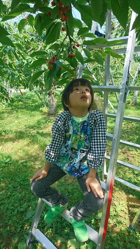 20171211_15.doretabeyoukana.JPGのサムネイル画像