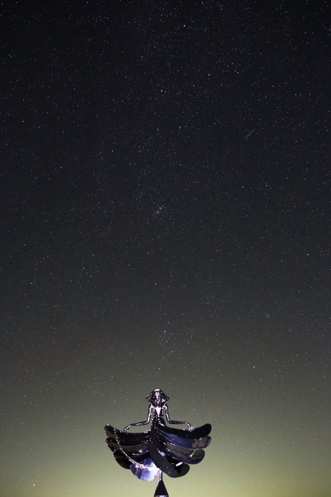 20171211_3.hosizoranimau.JPGのサムネイル画像